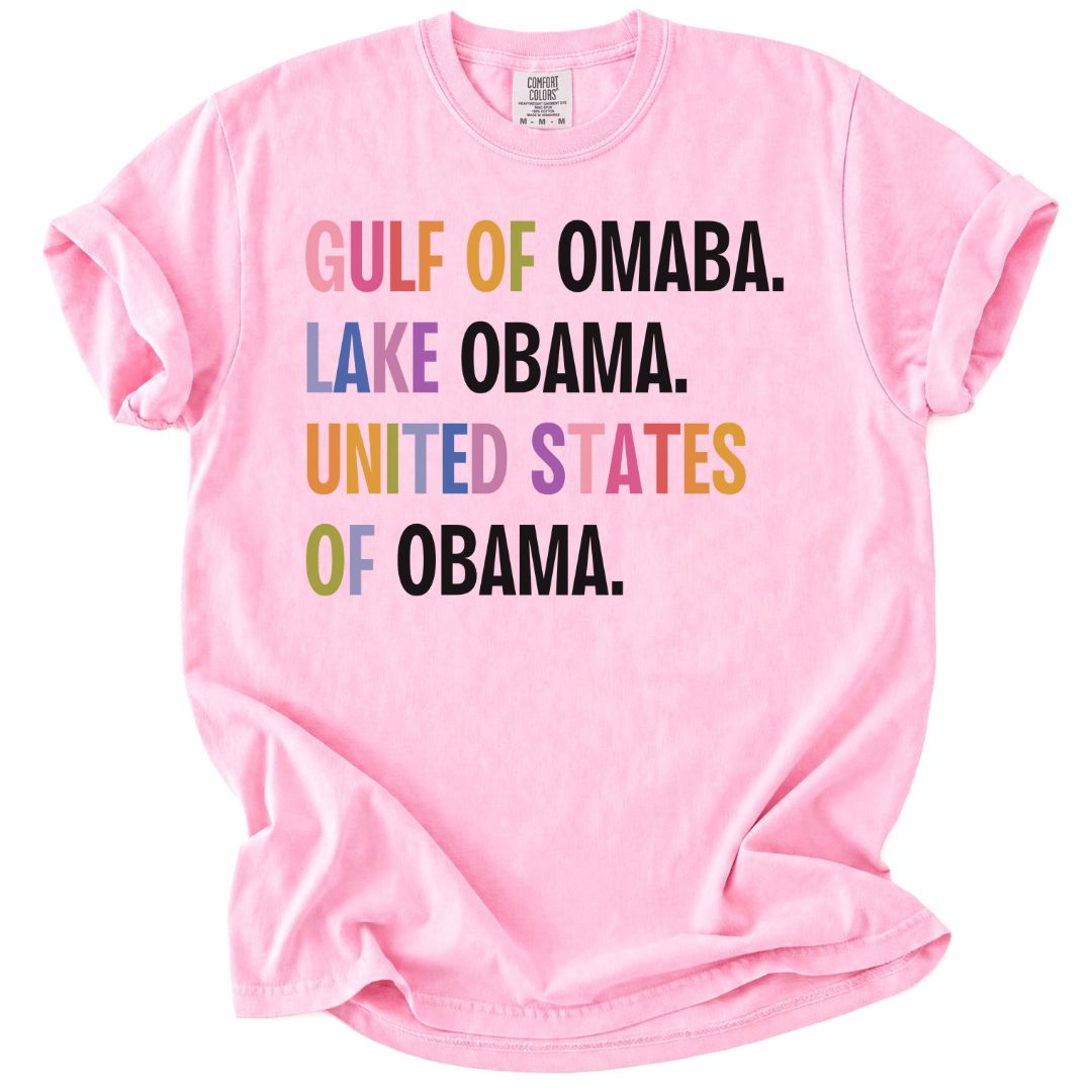 Rainbow United States of Obama Tee