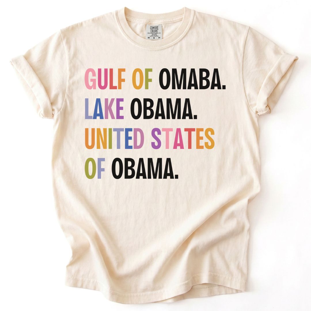 Rainbow United States of Obama Tee