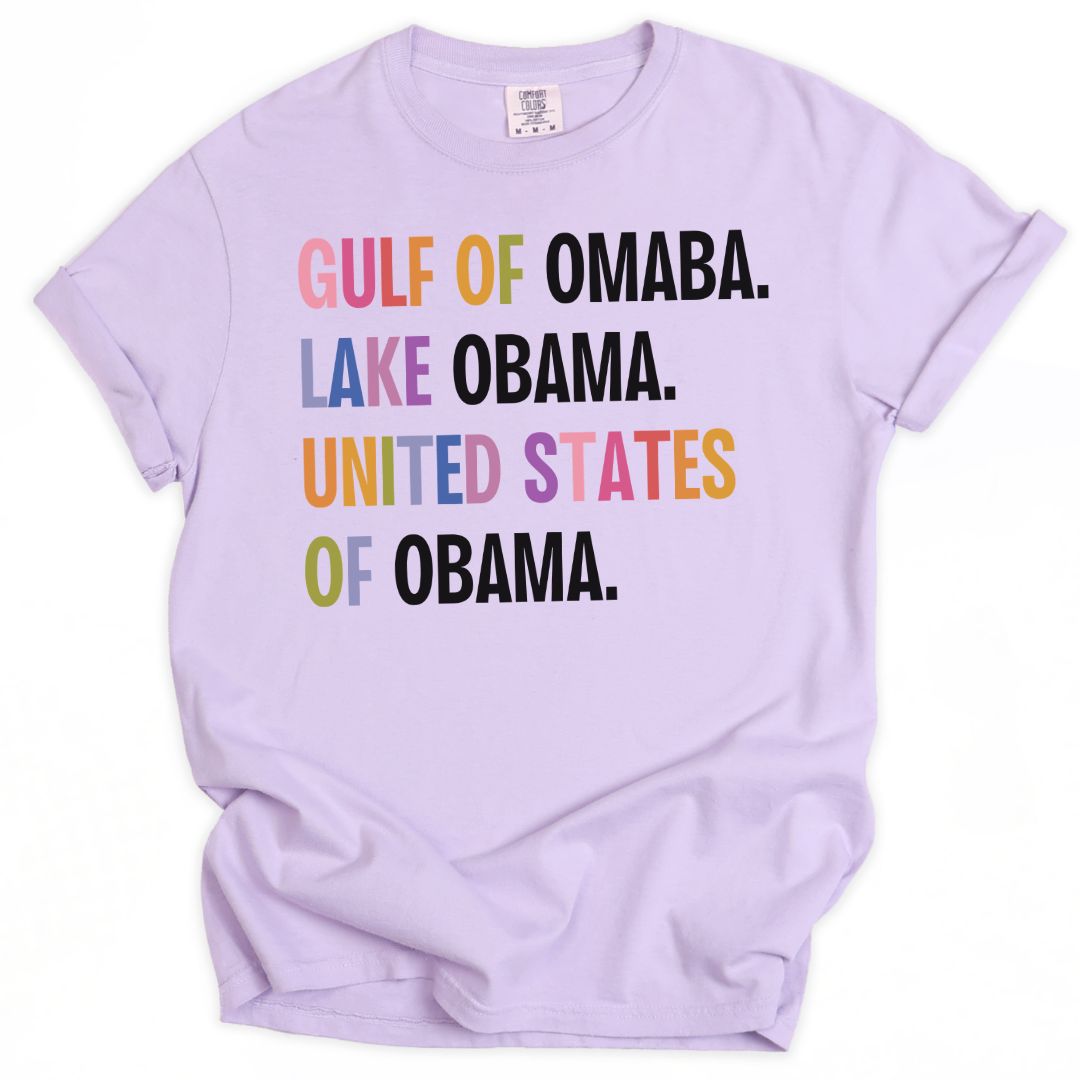 Rainbow United States of Obama Tee