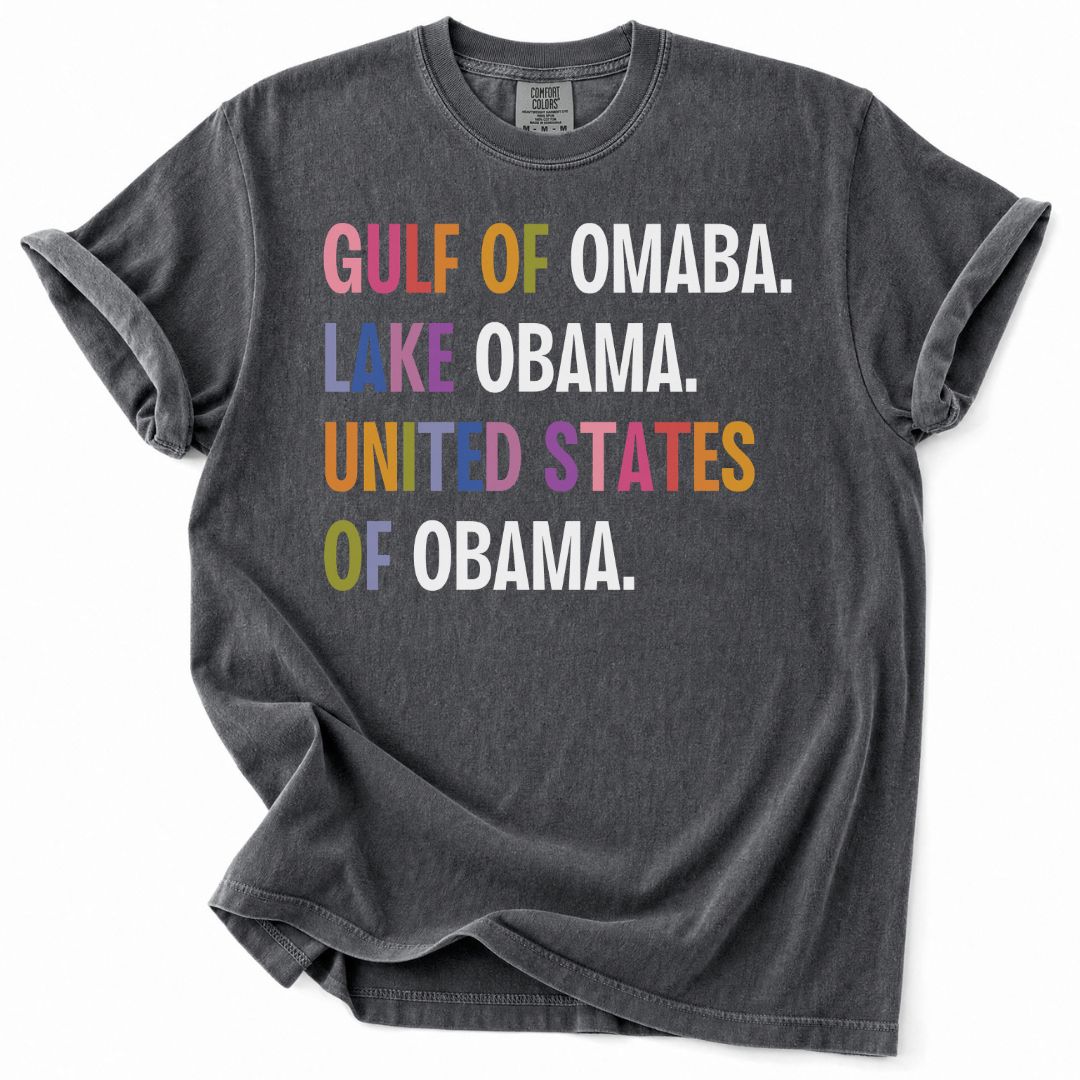 Rainbow United States of Obama Tee