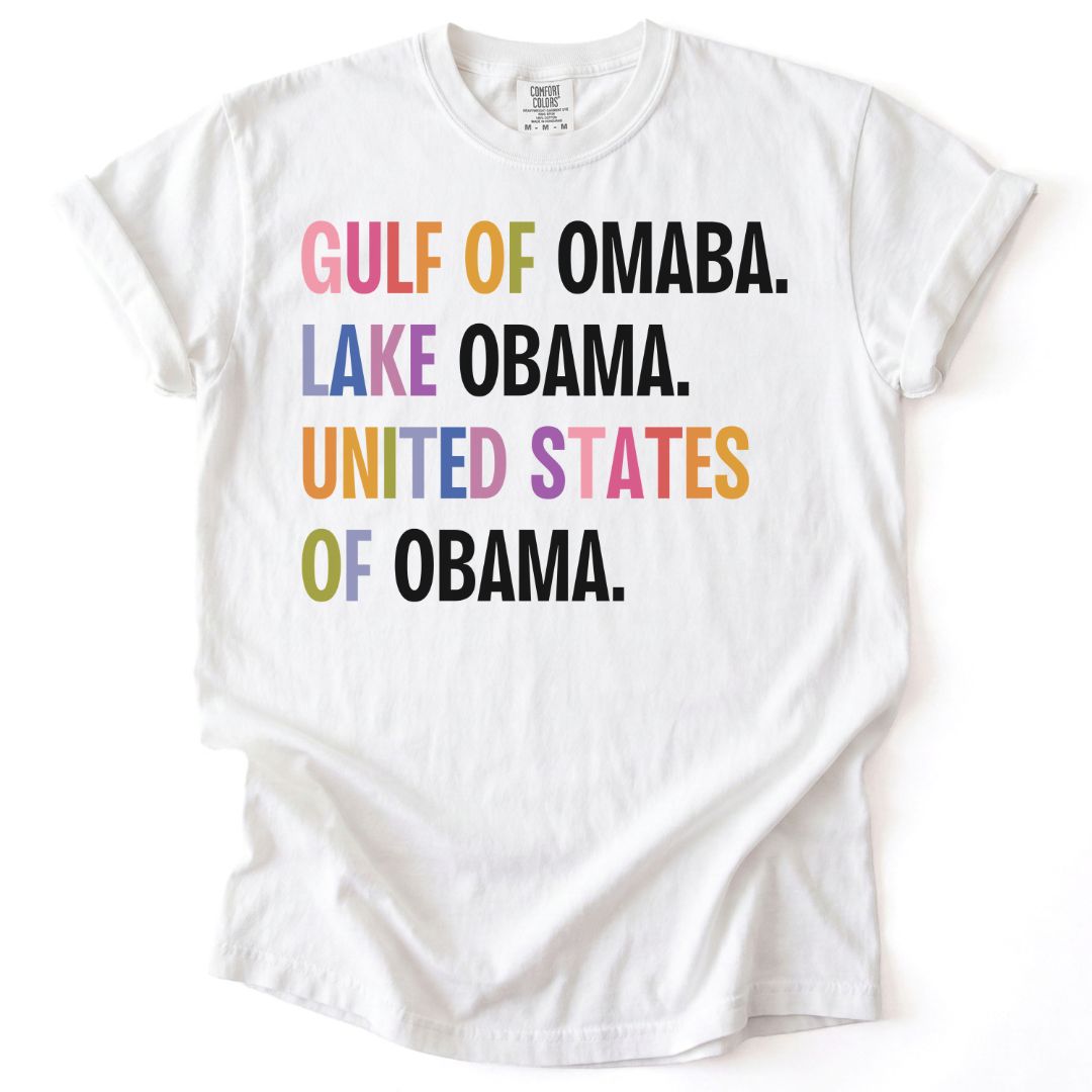Rainbow United States of Obama Tee